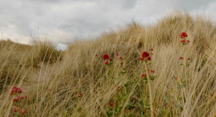 Időjárás 2026. április 22.: Erősen felhős, szeles nap
