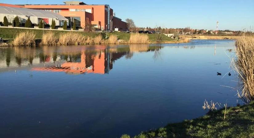 Újjászületik a főváros egyik legszebb tava, új szakaszba lépett a revitalizáció