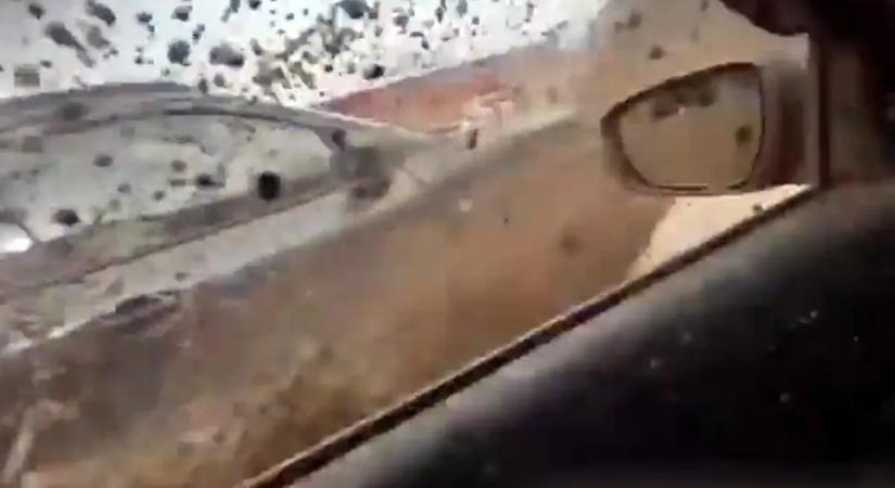 Békésen kameráztak a kocsiból, ennél mocskosabb vége nem is lehetett volna – videó
