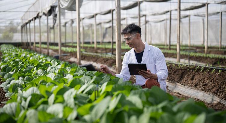 Három országra húzták fel az üvegházi óriásgépet