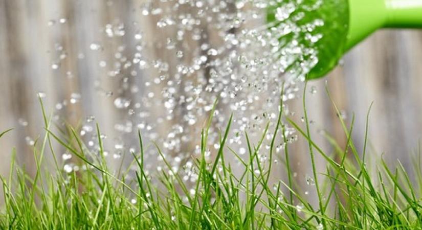 Így kerülheted el a leggyakoribb kertészeti hibákat