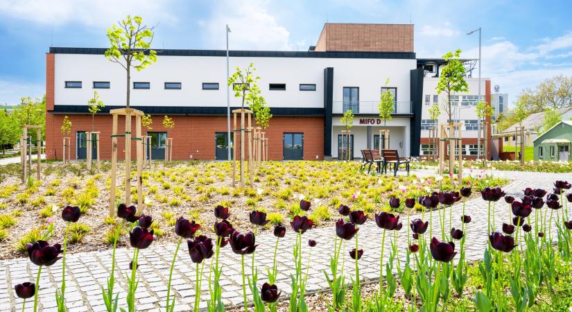 Föld Napja Dorogon: kézzelfogható lépések a Richtertől