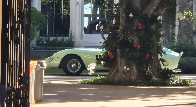 Kiszállt az autóból, majd olyat látott a kocsifeljárón, amit még soha