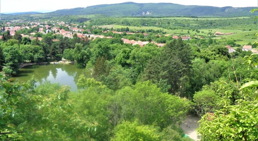 Összefogás az erdőkért: Szemétszedési akciót hirdettek Felsótárkányban