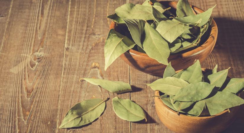 Babérlevél a szőnyeg alatt? Egy trükk, amit kevesen ismernek, mégis azonnali változást hozhat