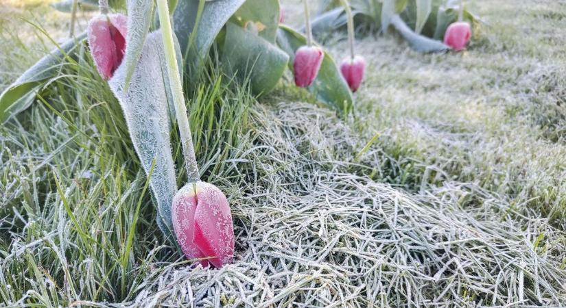 Durva fordulat az időjárásban: hajnalban fagy, nappal tavasz – ezt hozza a hét