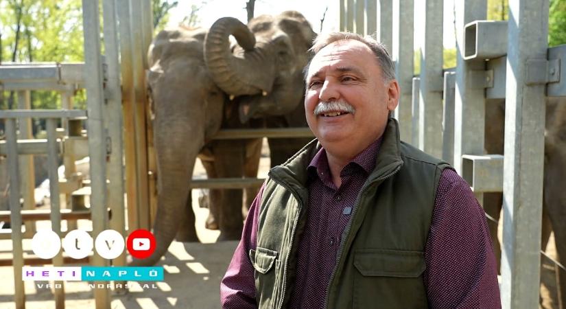 Meglepő riportfilm készült a Tisza sztárpolitikusáról – Rendőri segítséggel jutott el Magyar Péterékhez