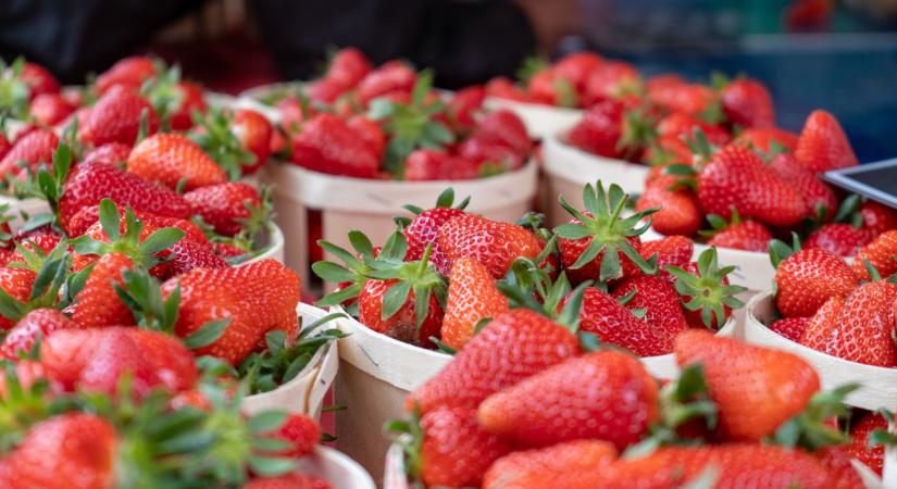 Ilyen szamóca árasztott el rengeteg piacot: durva, honnan jön
