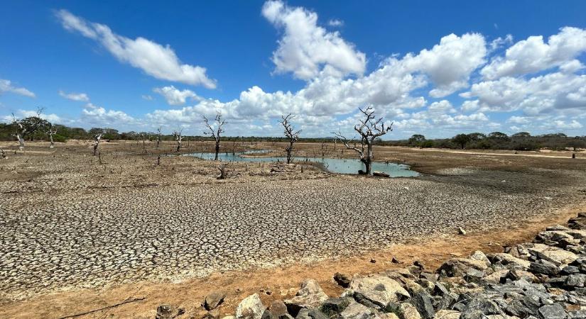Nem a csapadék kevés, hanem a hűtés: a párolgási deficit az aszályok valódi oka