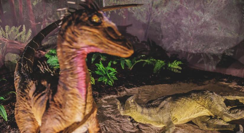 A mecseki Jurassic Park is felbukkan, míg a pécsi színházban a rokonoké a főszerep
