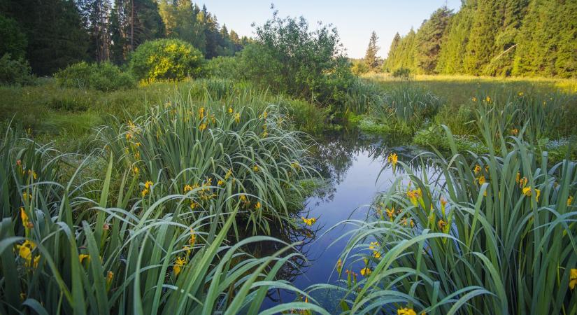 Változóan felhős, szeles tavaszi idő várható