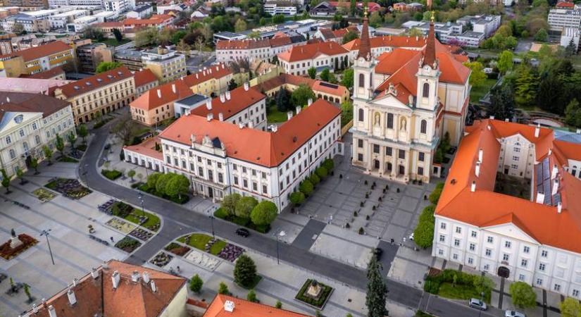 Egészségügyi vészhelyzet elrendelését kéri a magyar város: nagy a baj