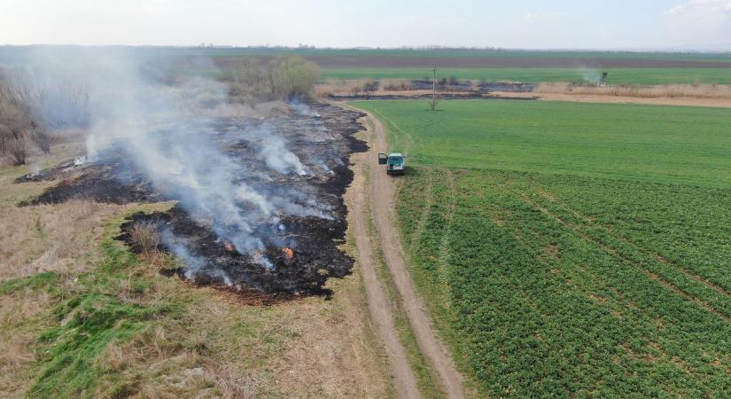 Brutális pusztítás a Taktaközben, ezt okozta az emberi tudatlanság – fotókkal