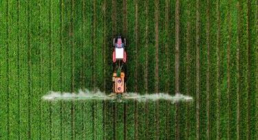 Egy rosszul időzített permetezés teljes kárt is okozhat