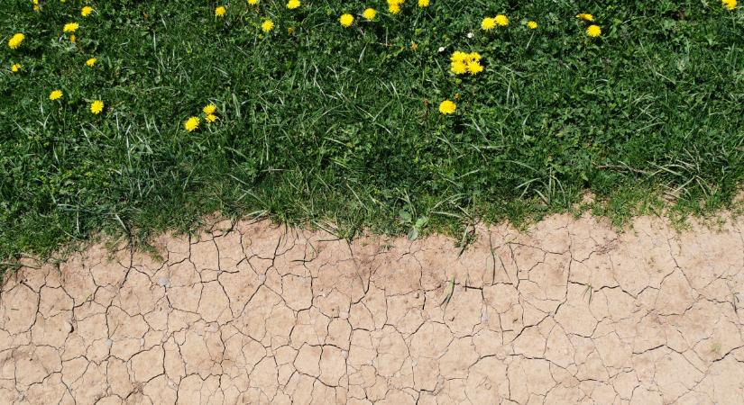 Ez teheti tönkre a nyarainkat a jövőben: nem maradt több idő, lépni kell