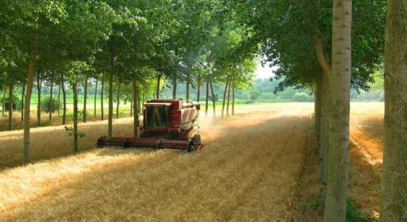 Frissült a KAP-menetrend: Újabb milliárdok nyílnak meg az agráriumban 2026 második felében