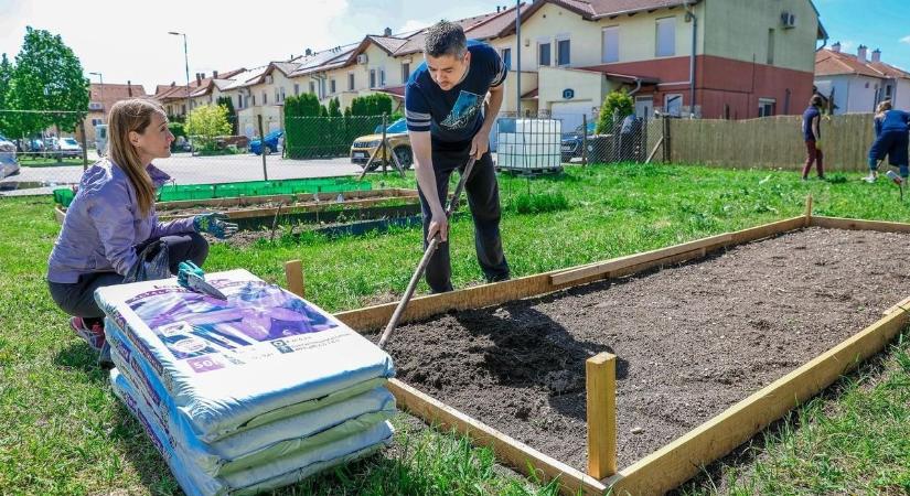 Ismét te is lehetsz kertész a Málna közösségi kertben!
