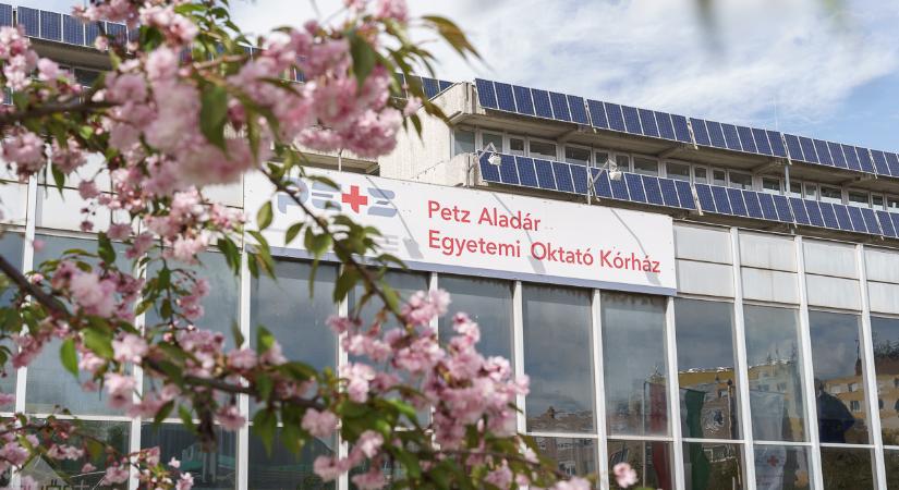 Hello Nagyvilág! – ismét babák születtek Győrben