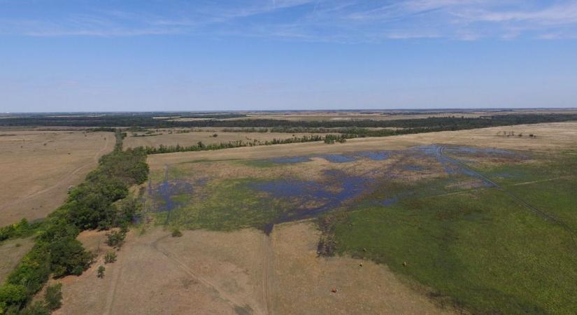 Tudománnyal a vízhiány ellen: az SZTE kutatói új utakat nyitnak a vízmegőrzésben