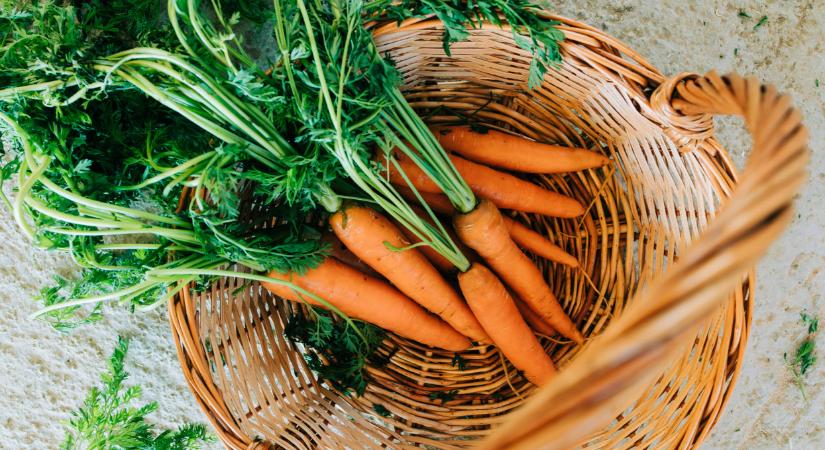 Egy távoli országba viszik a magyarok kedvenc zöldségét: áramlik ki tőlünk