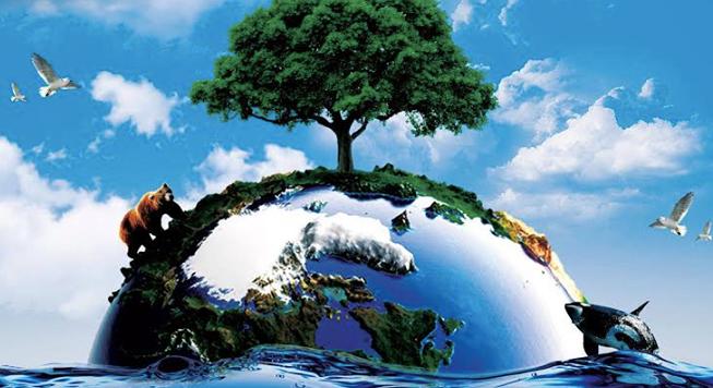 Egy nap a Földért – Földünk csak egy van