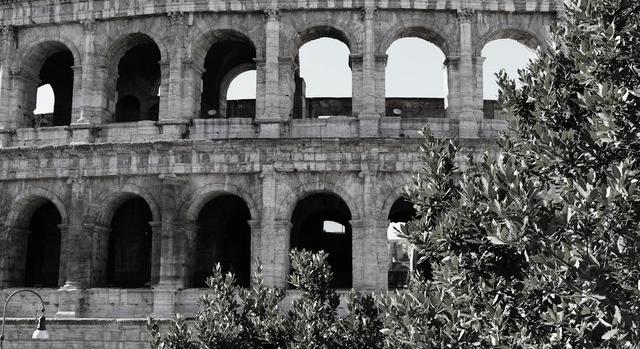Olívaolajjal élesztik újra Róma ókori mezőgazdasági örökségét