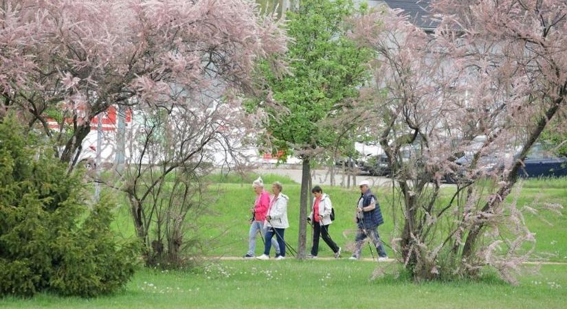 Monspart Sarolta Emlékgyaloglás: Nadapról Sukoróra sétálnak a mozgás szerelmesei