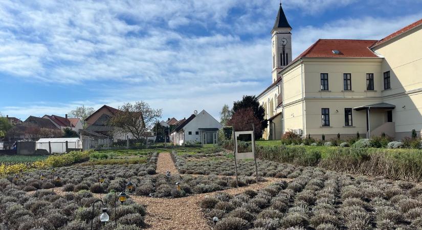 Május 1-én újra kinyit a Hegykői Csipkeház - fotók