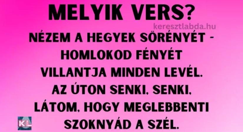 Napi irodalom feladat: Táj, szél, szoknya – felismered a verset, ahol a természet szerelemmé válik?