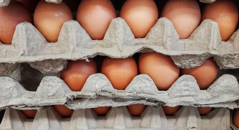 Kettészakadt a baromfipiac: ez történik a tojás és a csirke árával