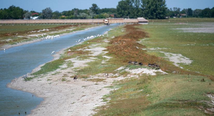 Nemzetközi figyelmet is kapott az SZTE kutatása, amely új alapot adhat a vízpótlás tervezésének