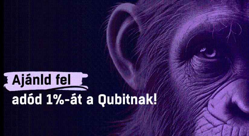 Ajánld fel adód 1%-át a Qubitnak!