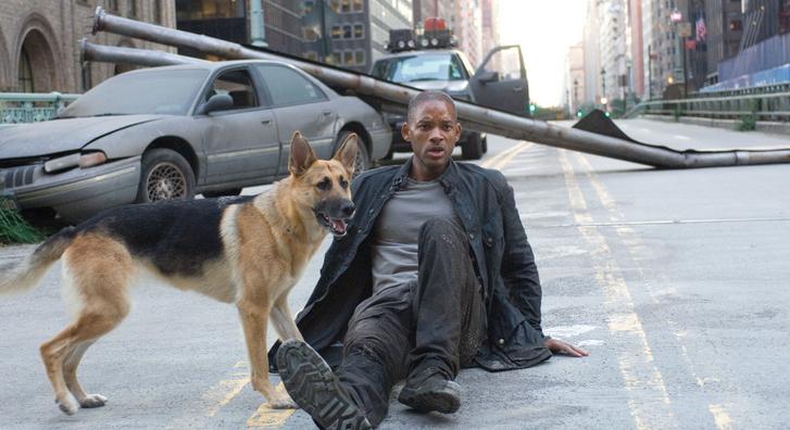 Hivatalosan készülőben a Legenda vagyok folytatása