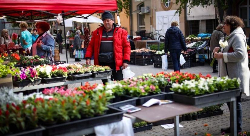 Eperdömping a piacon, de vigyázat: nem minden magyar, amire rámondják (képgalériával)