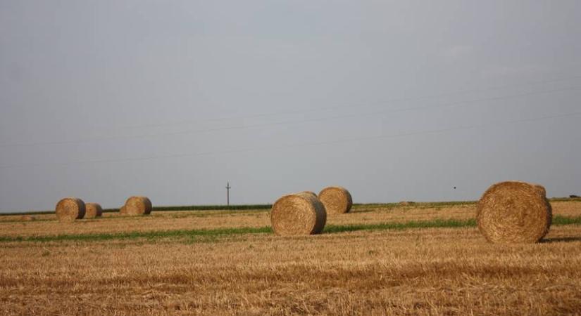 Visszaadnák az elveszett vizet az Alföldnek: megvannak a pontok, ahol megállítható a kiszáradás