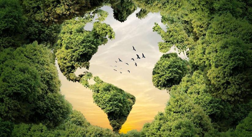 Újabb állatfajok váltak veszélyeztetetté a klímaváltozás miatt