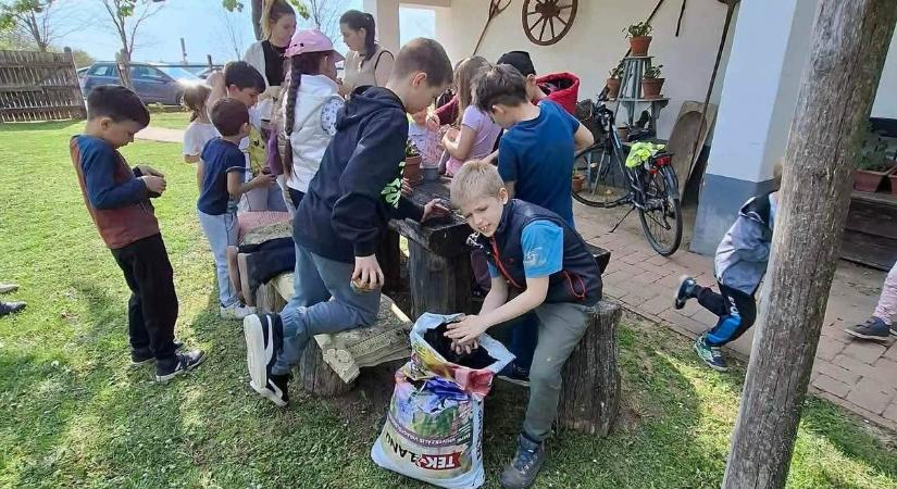 Föld napja kajárpéci sulisokkal - Környezetvédelmi napot rendeztek - fotók