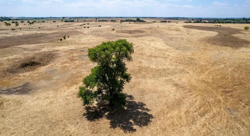 Kiderült, miért válnak egyre szélsőségesebbé az aszályok és az árvizek Magyarországon