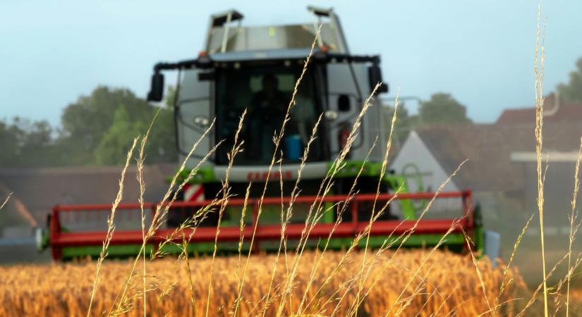 Nyersanyag-export helyett feldolgozott termékek: Agrárreformra készül a Tisza-kormány