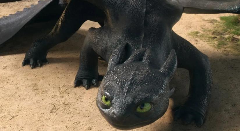 Az Így neveld a sárkányodat 2. forgatásán több ujját is elveszítette az egyik stábtag, miután baleset történt egy fűrésszel