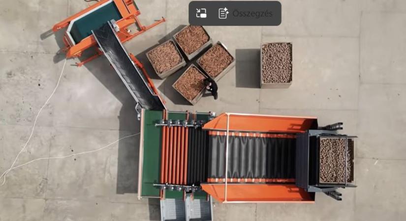A palántázástól a csomagolásig: Így építhető fel egy teljesen integrált zöldségtermesztő technológia  VIDEÓ