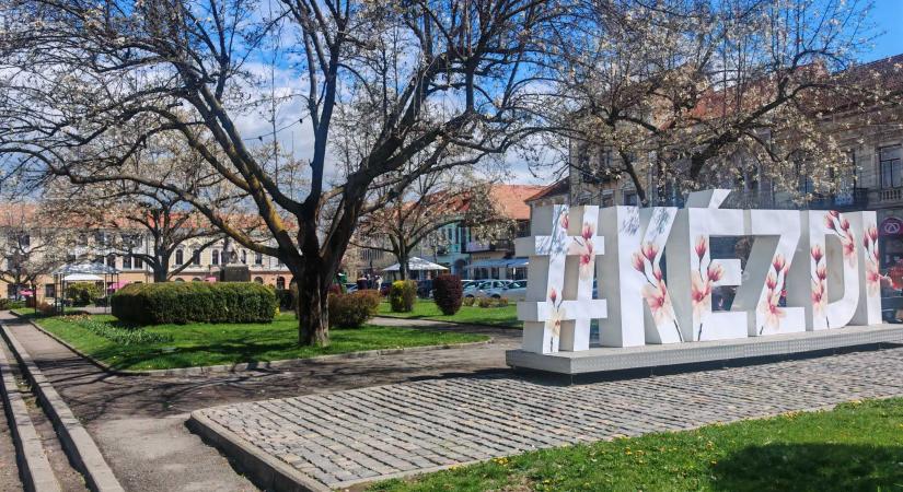 Ismét virágba borul Kézdivásárhely főtere – Kezdődik a Virágvarázs vásár