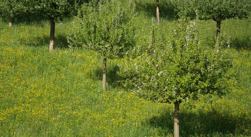 Rendkívüli támogatás érkezik, több mint 4 milliárdot osztanak szét
