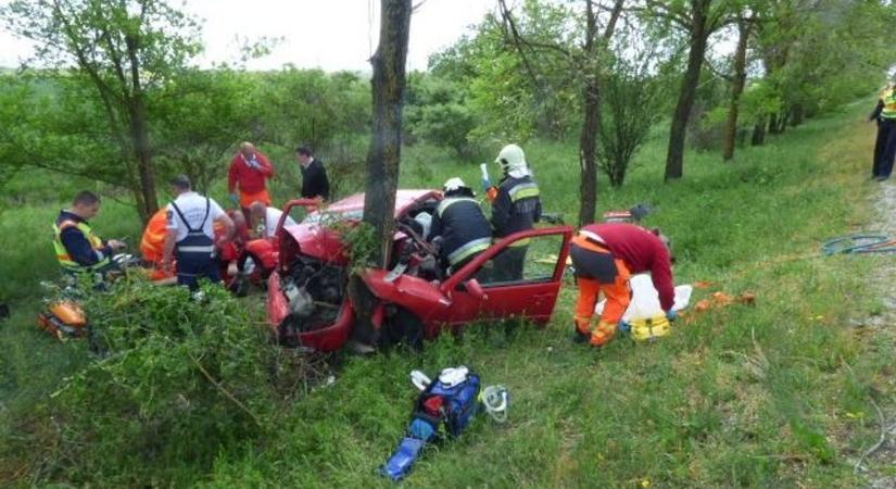 Tragédia Karcagnál: életét vesztette a 4-esnél fának csapódó autó utasa – FOTÓK