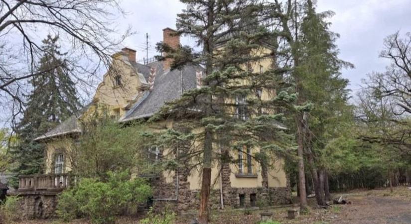 Túlélő kastélyra vigyáz a Mátra, ősfák között született újjá az eldugott kúria – fotókkal