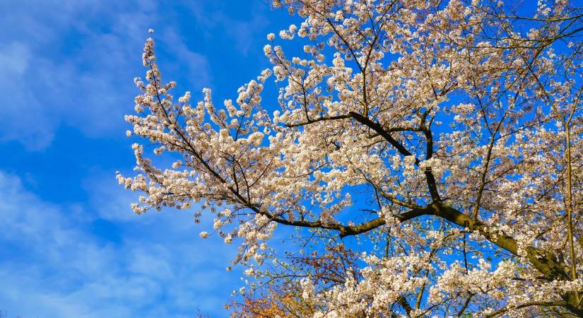 Fagyos hajnal, napos délután: mutatjuk, hol lesz a legmelegebb