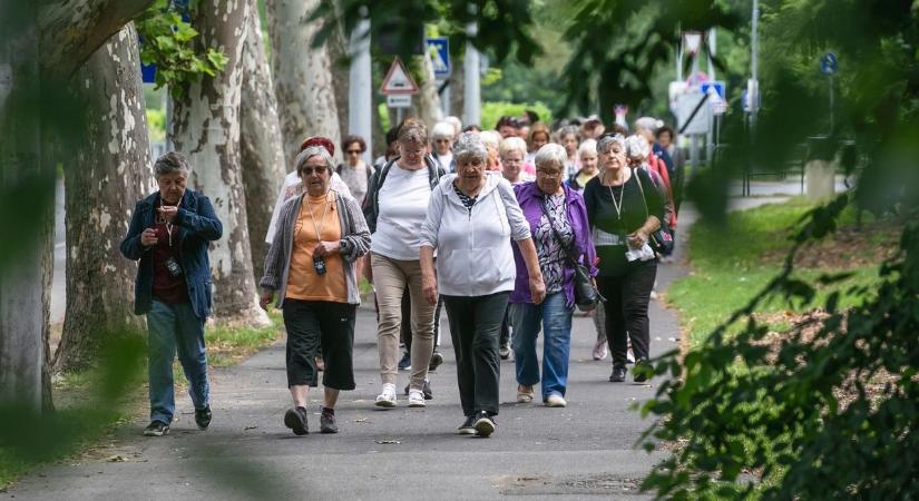 Irány a szabadba! Végre elindultak a kültéri „Mozdulj, Debrecen!” programok