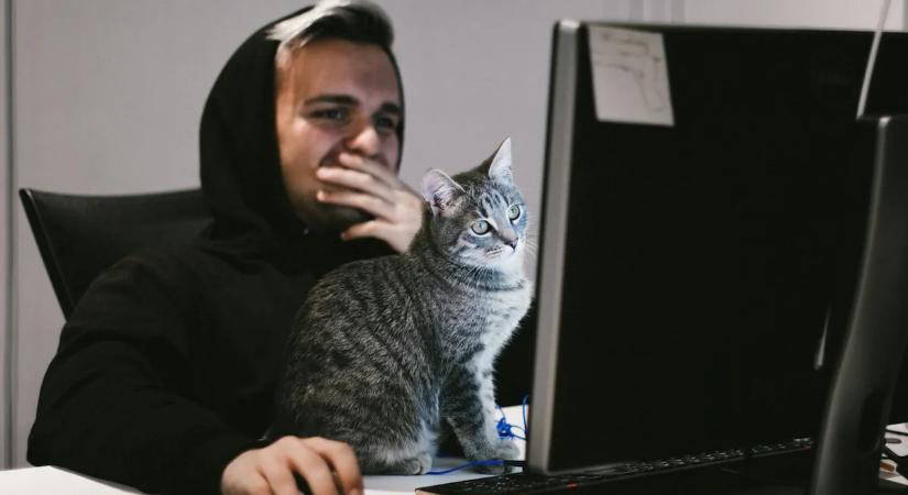 Szörnyű dolog derült ki a magyarok kedvenc böngészőjéről