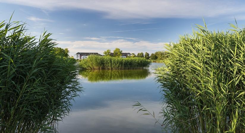 Ahol a város találkozik a természettel – a Bujtosi-tavaknál
