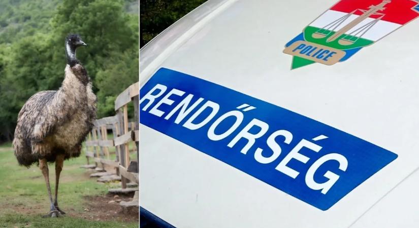 Rejtélyesen eltűnt egy apa a három lányával: hátborzongató ok áll a háttérben